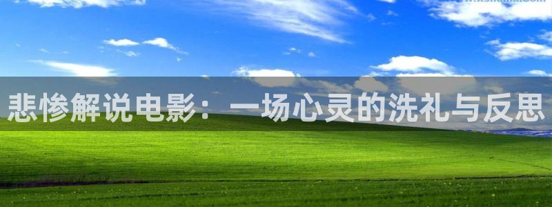 神马看片我不卡