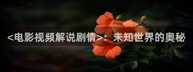 神马影院艳母