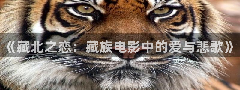 第七影院神马