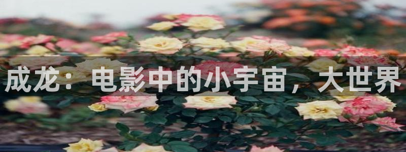 午夜神马福利影院