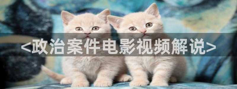 神马影院理论不卡