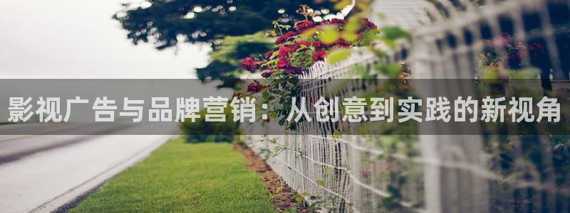 神马电影网一级片