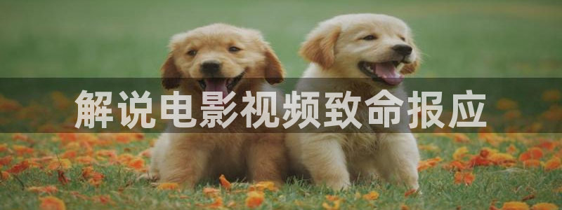 神马微电影