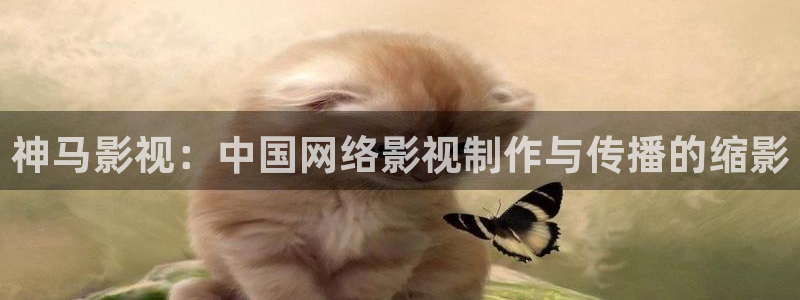 神马未来影院6080