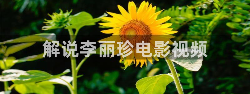 血之恋电影国语神马在线观看