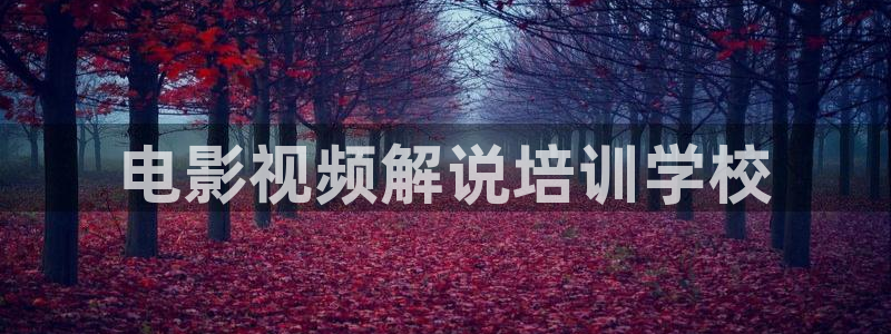 姐姐的朋友神马影视