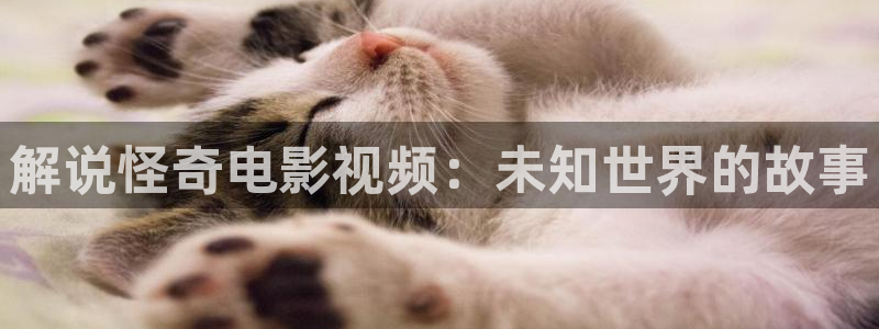 年轻的妈妈神马影院
