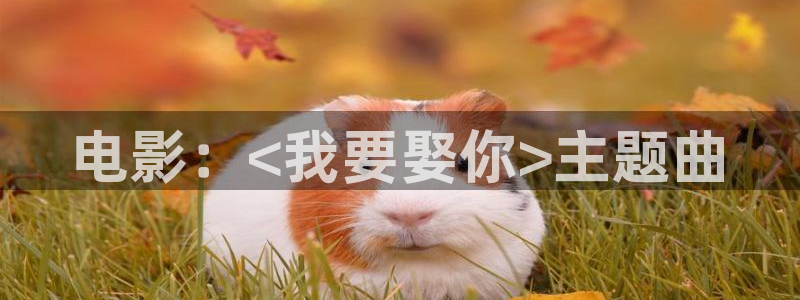神马影院之我不卡4k4k