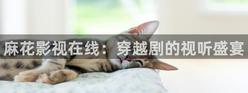 神马午夜午夜影院