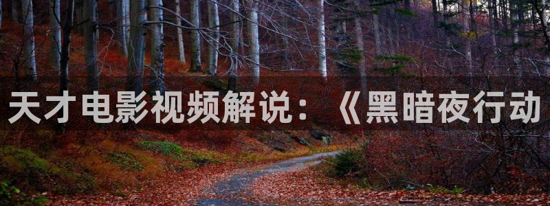 香港神马电影