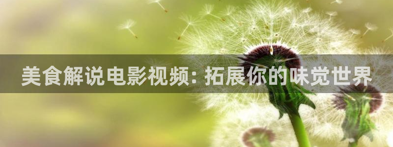 神马午夜影院在线观看