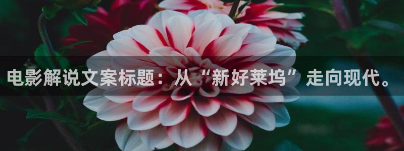 神马秋霞午夜电影