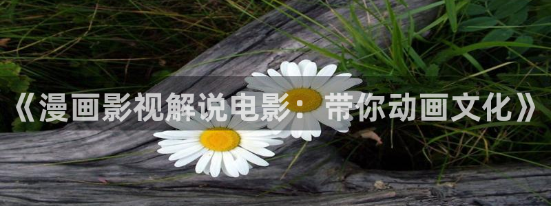 神马影院手机电影在线播放午夜