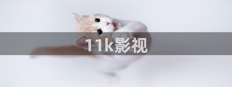 寄宿公寓神马影院
