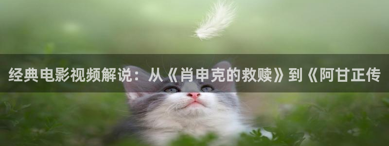 神马电影李采潭
