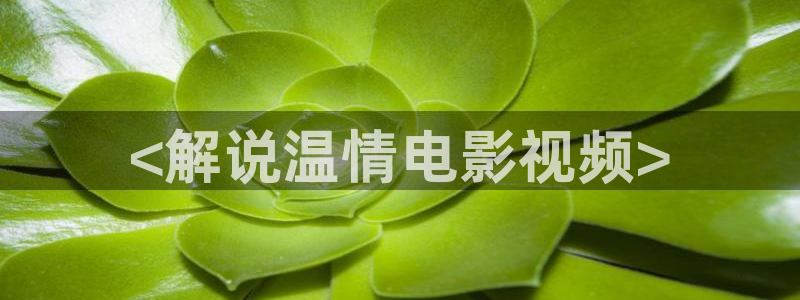 神马电影网777