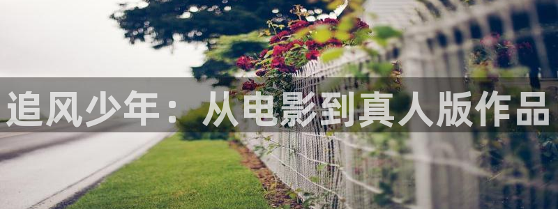 神马网电影