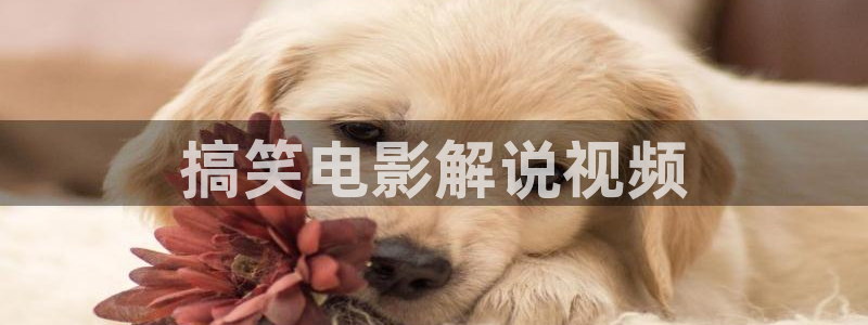 神马电影手机在看