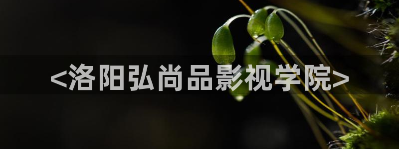 神马影视视