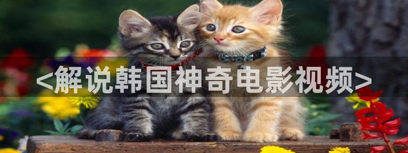 达达兔电影网神马
