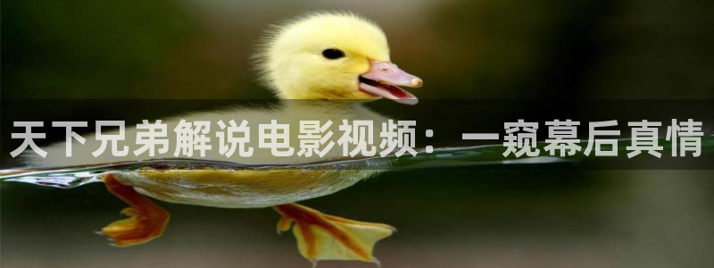 s神马电影