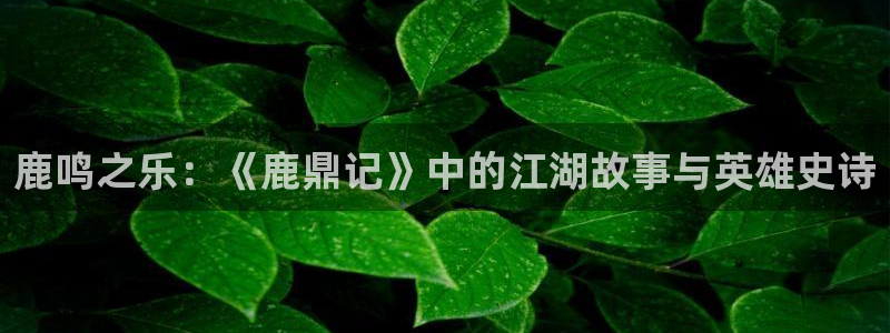 新闻图片