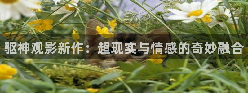 看片神马电影院