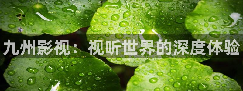 dy888神马我不卡